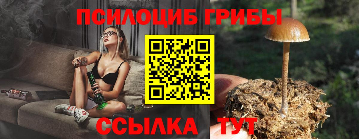 Лысьва  Галлюциногенные грибы Cubensis  Вход с VPN 